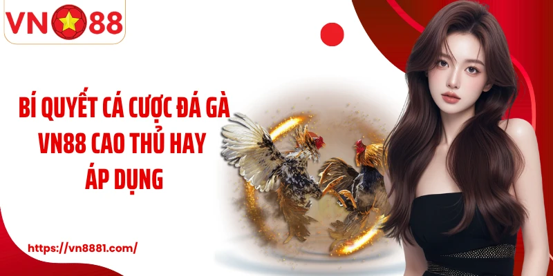 Bí quyết cá cược đá gà VN88 cao thủ hay áp dụng