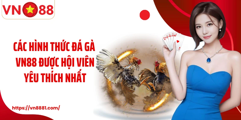 Các hình thức đá gà VN88 được hội viên yêu thích nhất