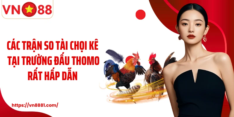 Đá Gà Thomo: Sàn Đấu Chiến Kê Kịch Tính Nhất Tại VN88 Các trận so tài chọi kê tại trường đấu Thomo rất hấp dẫn