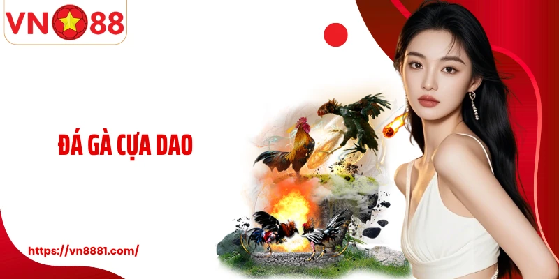 Đá Gà Cựa Dao: Màn So Tài Chiến Kê Gay Cấn Số 1 Tại VN88