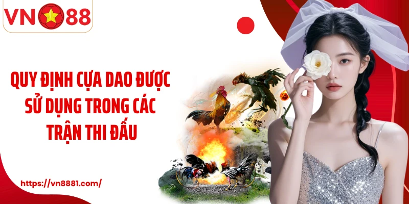 Quy định cựa dao được sử dụng trong các trận thi đấu