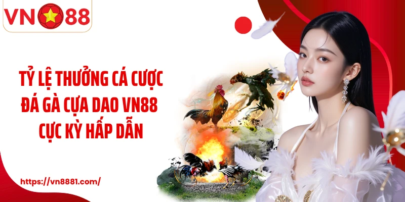 Tỷ lệ thưởng cá cược đá gà cựa dao VN88 cực kỳ hấp dẫn
